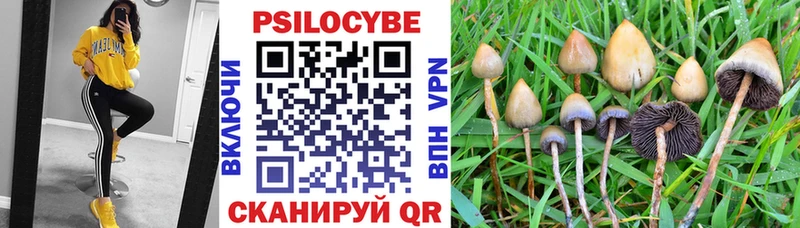 Псилоцибиновые грибы GOLDEN TEACHER  Гуково 